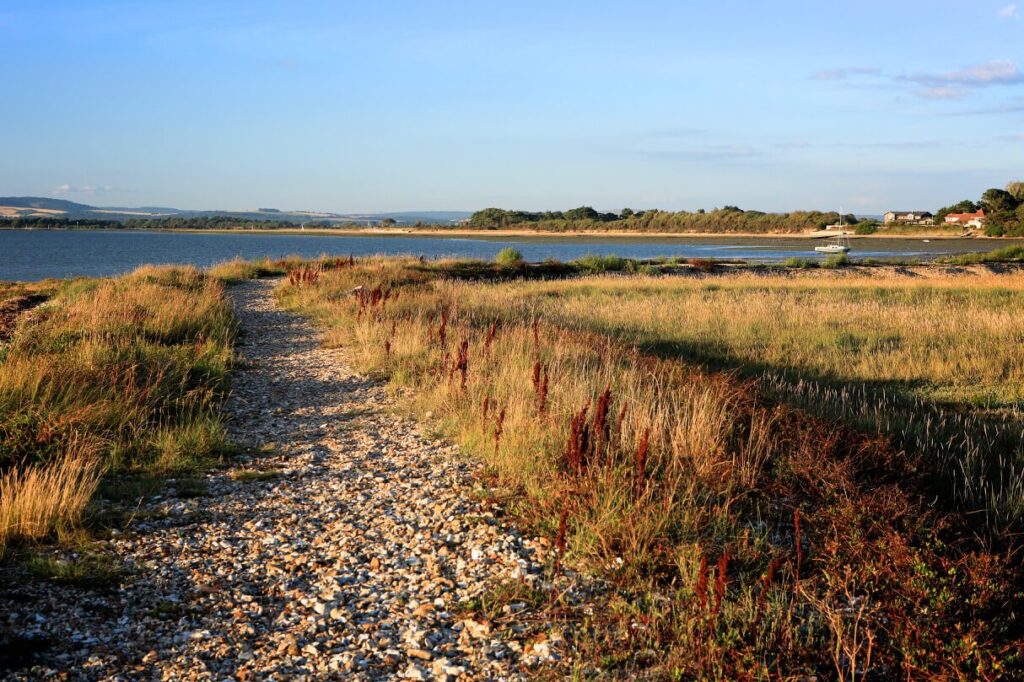 Picturesque trail leading to the coast on West Wittering Walks