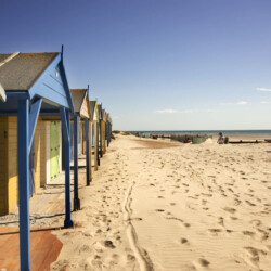 Reservation, Booking, and Holiday Tips Blog